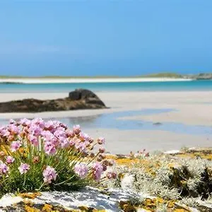 Guest house Wild Atlantic Self-catering Inverin